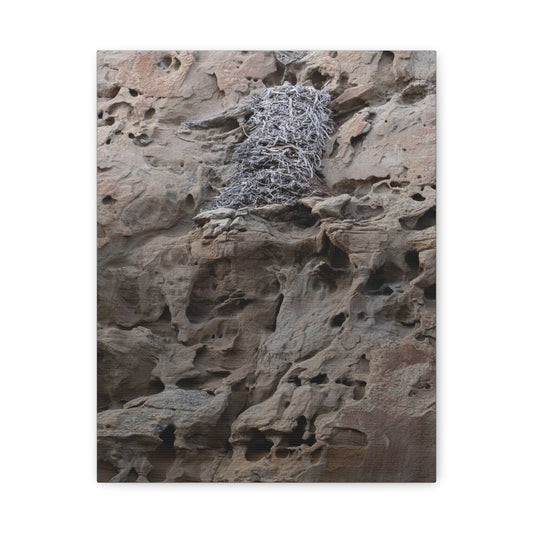 Eagle's Nest in the Petroglyphs — Weathered Time by WyoRaw