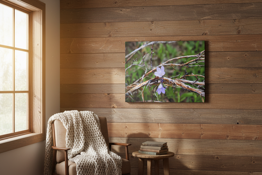 Macro wildflower metal print on rustic wood wall in cozy sunlit room