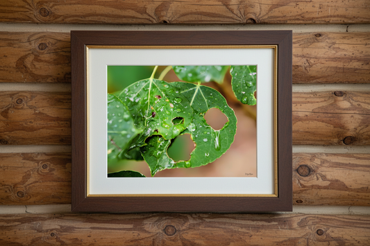 Quiet Resilience: "Crying Leaf" - Museum-Grade Archival Print