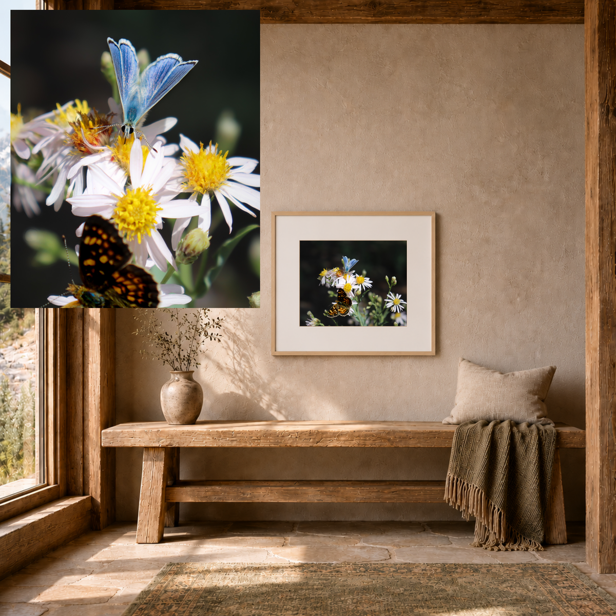 Butterflies on Wildflowers — Quiet Resilience by WyoRaw