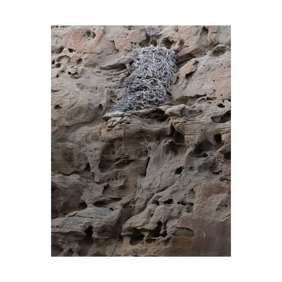 Eagle's Nest in the Petroglyphs — Weathered Time by WyoRaw