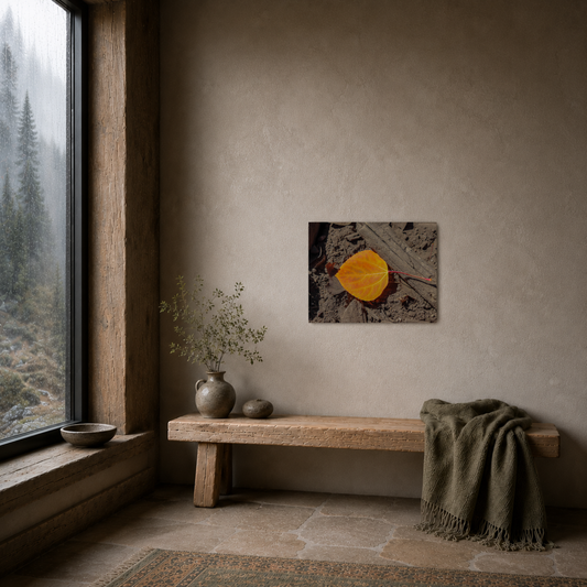 Autumn Leaf — Canvas Print