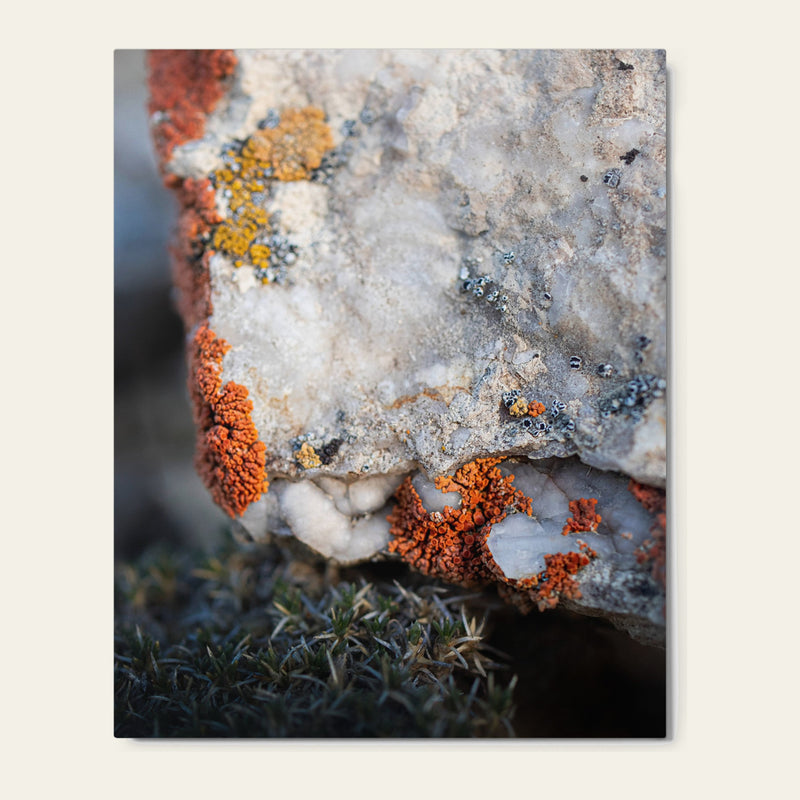 Written in Color — metal wall art of orange and yellow crusts working the edge of a white quartz boulder