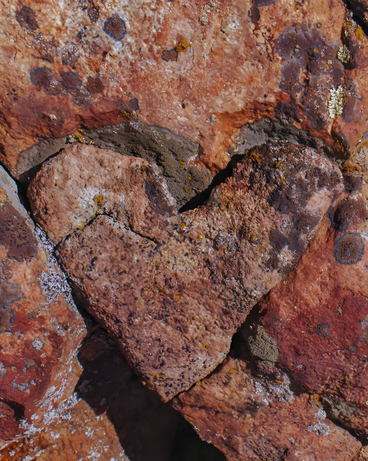 Close-up of textured red rock with lichen and natural cracks, showcasing Wyoming's raw beauty.