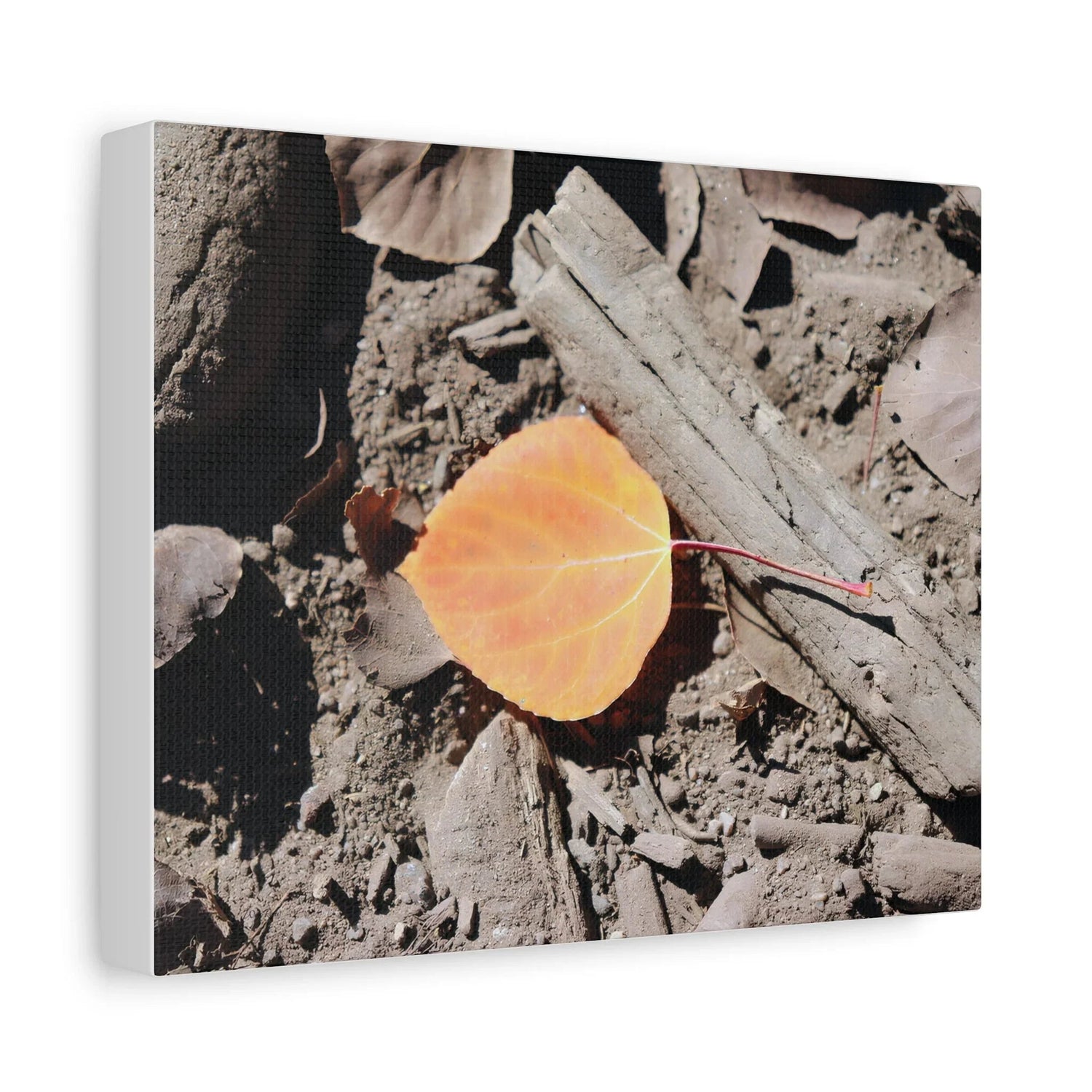 Canvas Prints - WyoRaw