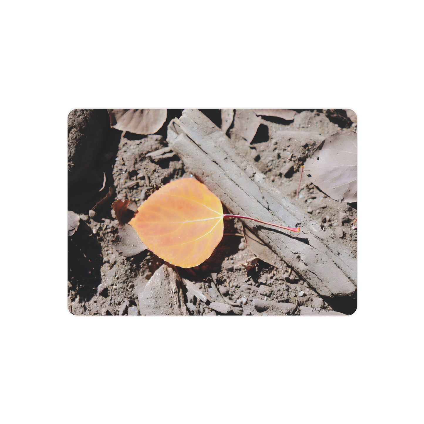 "Autumn Leaf" - Metal Wall Art