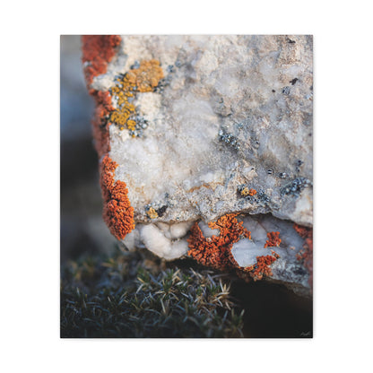 Written in Color — Weathered Time by WyoRaw
