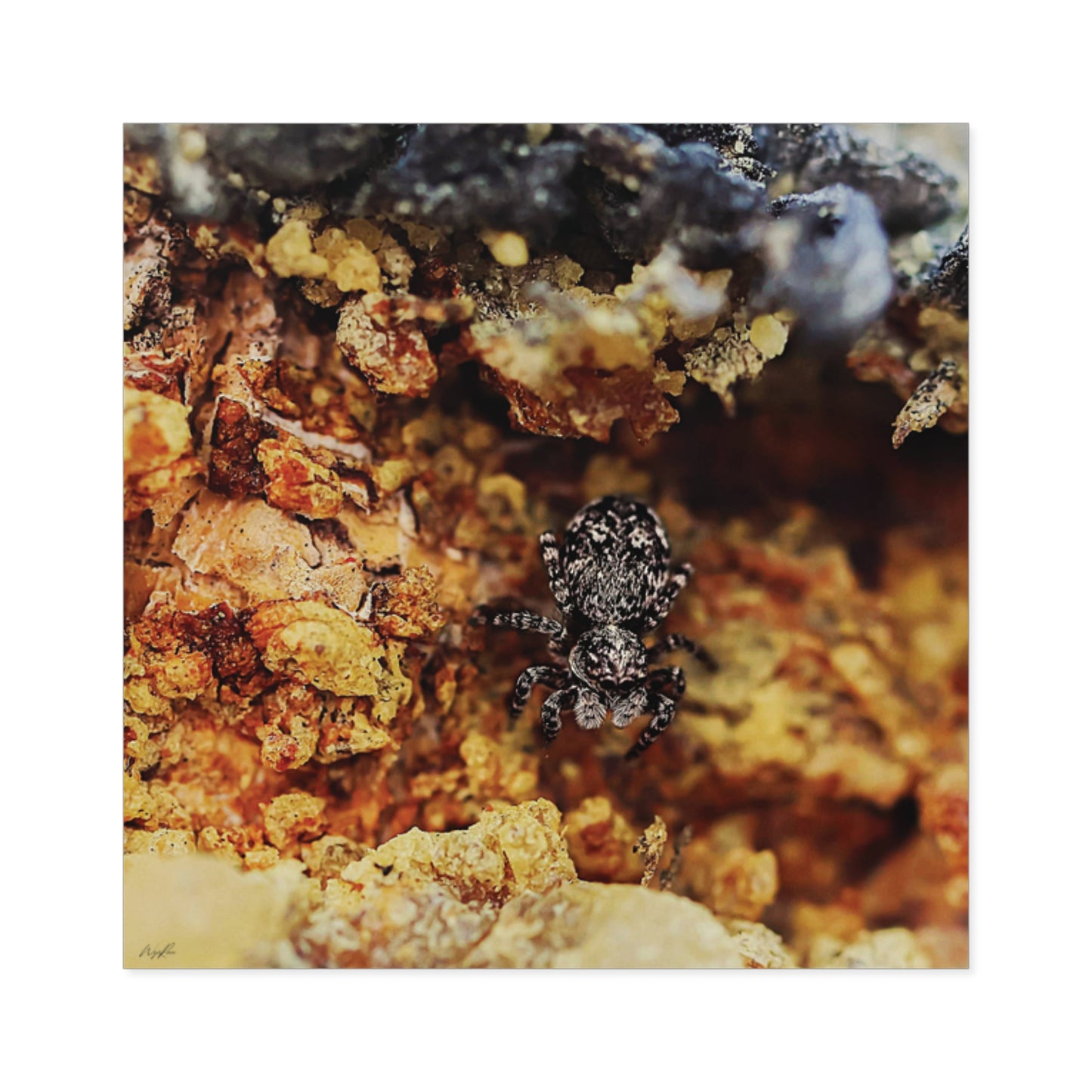 Weathered Time: "Spider in the Sap" - Square Sticker (Indoor/Outdoor)