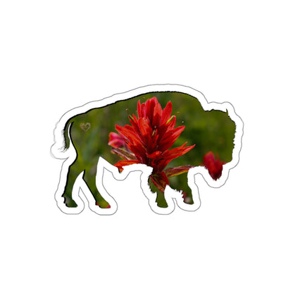 Quiet Resilience: Bison Indian Paintbrush - Die-Cut Sticker