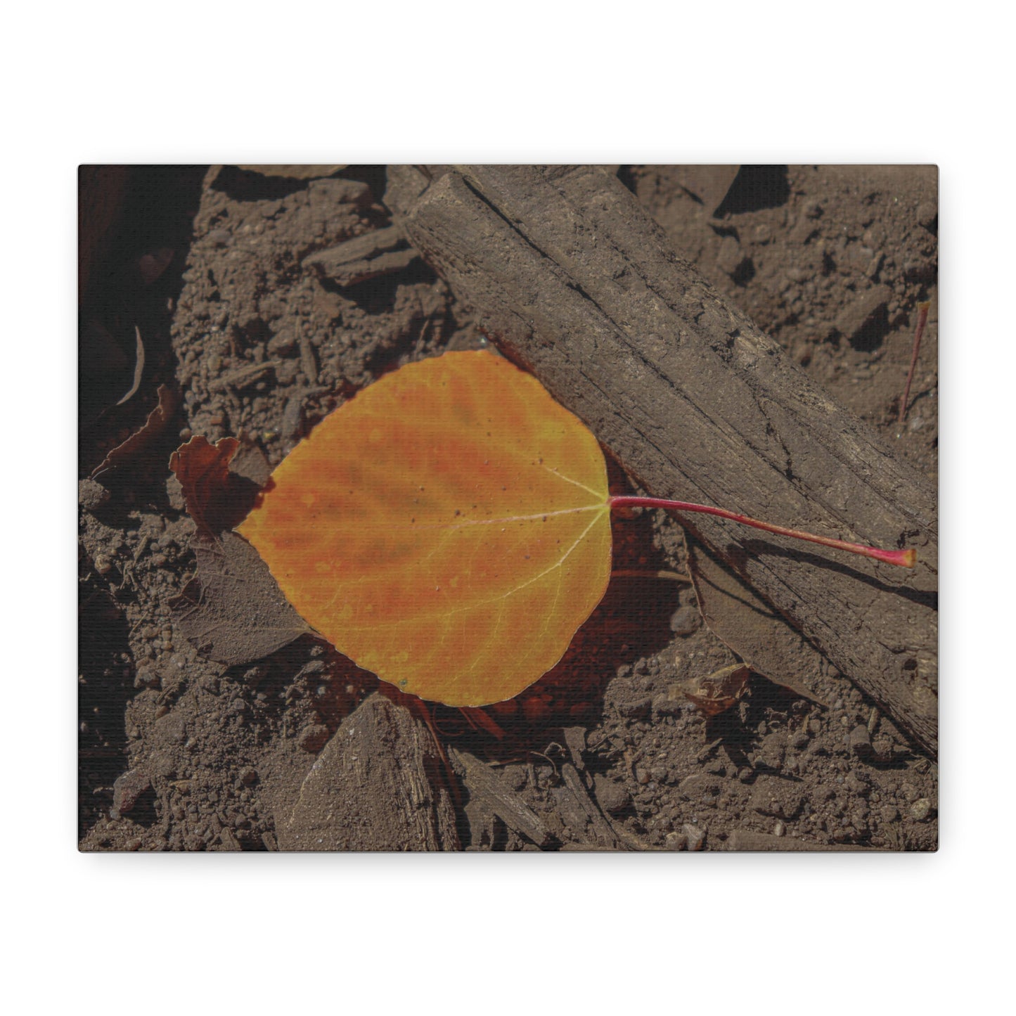 Quiet Resilience: "Autumn Leaf"  - Canvas Print
