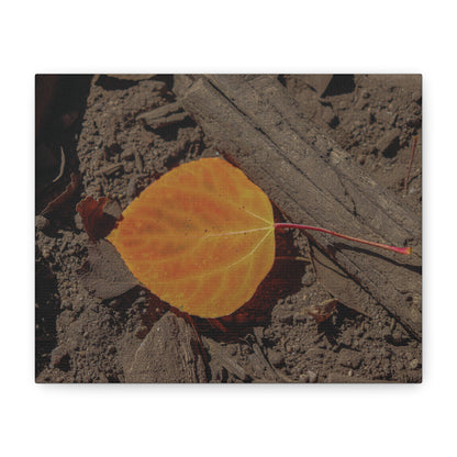 Quiet Resilience: "Autumn Leaf"  - Canvas Print