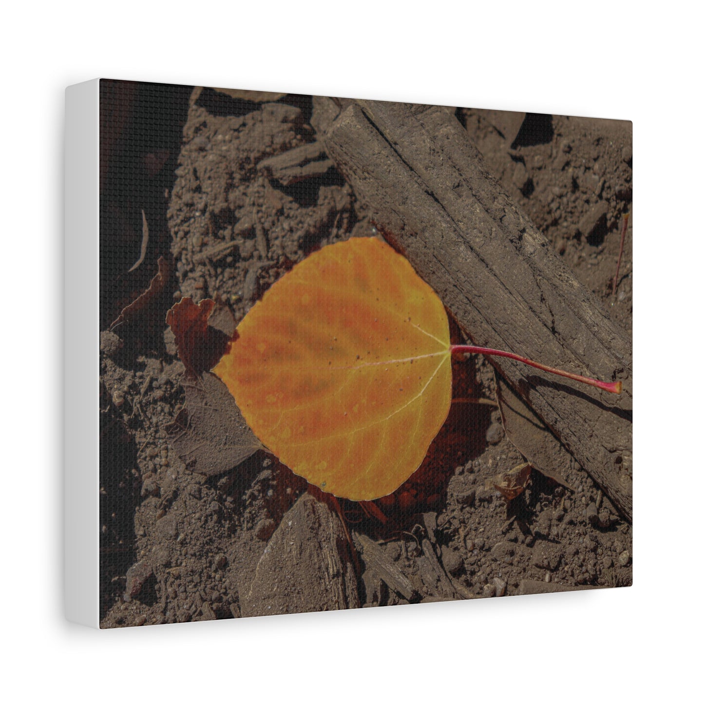 Quiet Resilience: "Autumn Leaf"  - Canvas Print