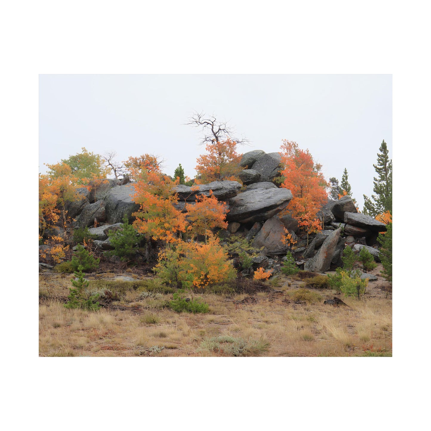 "Autumn Rocky Outcrop" - Museum-Grade Archival Print