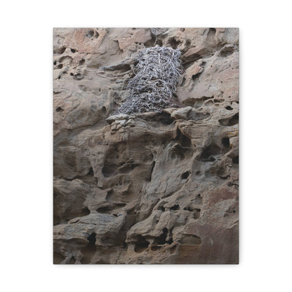 Eagle's Nest in the Petroglyphs — Weathered Time by WyoRaw