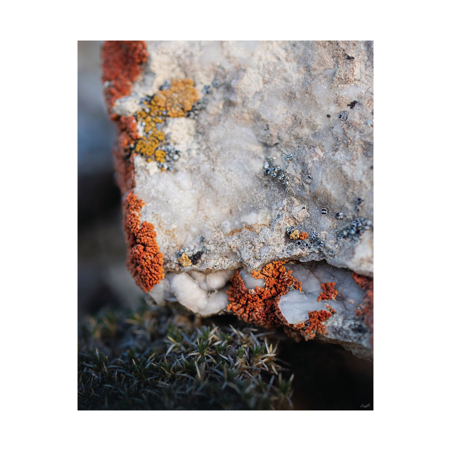 Written in Color — Weathered Time by WyoRaw