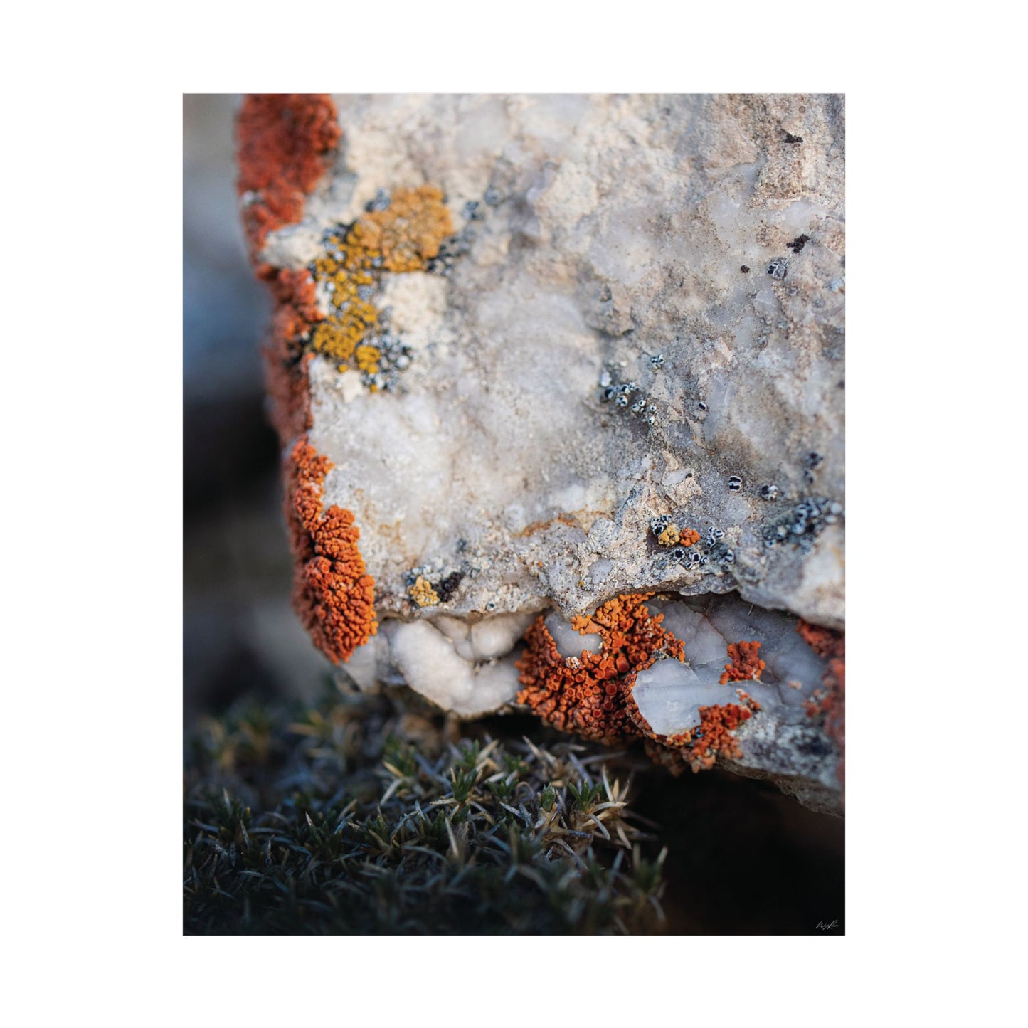 Written in Color — Weathered Time by WyoRaw