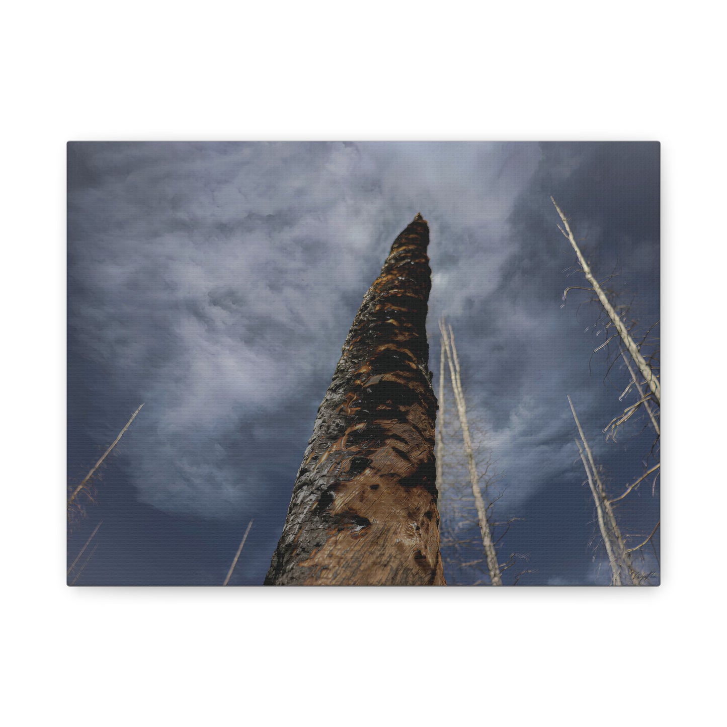 Remnants: "Scorched Tree" - Canvas Print