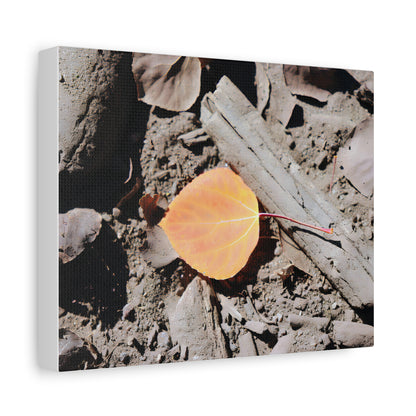 "Autumn Leaf"  - Canvas Print