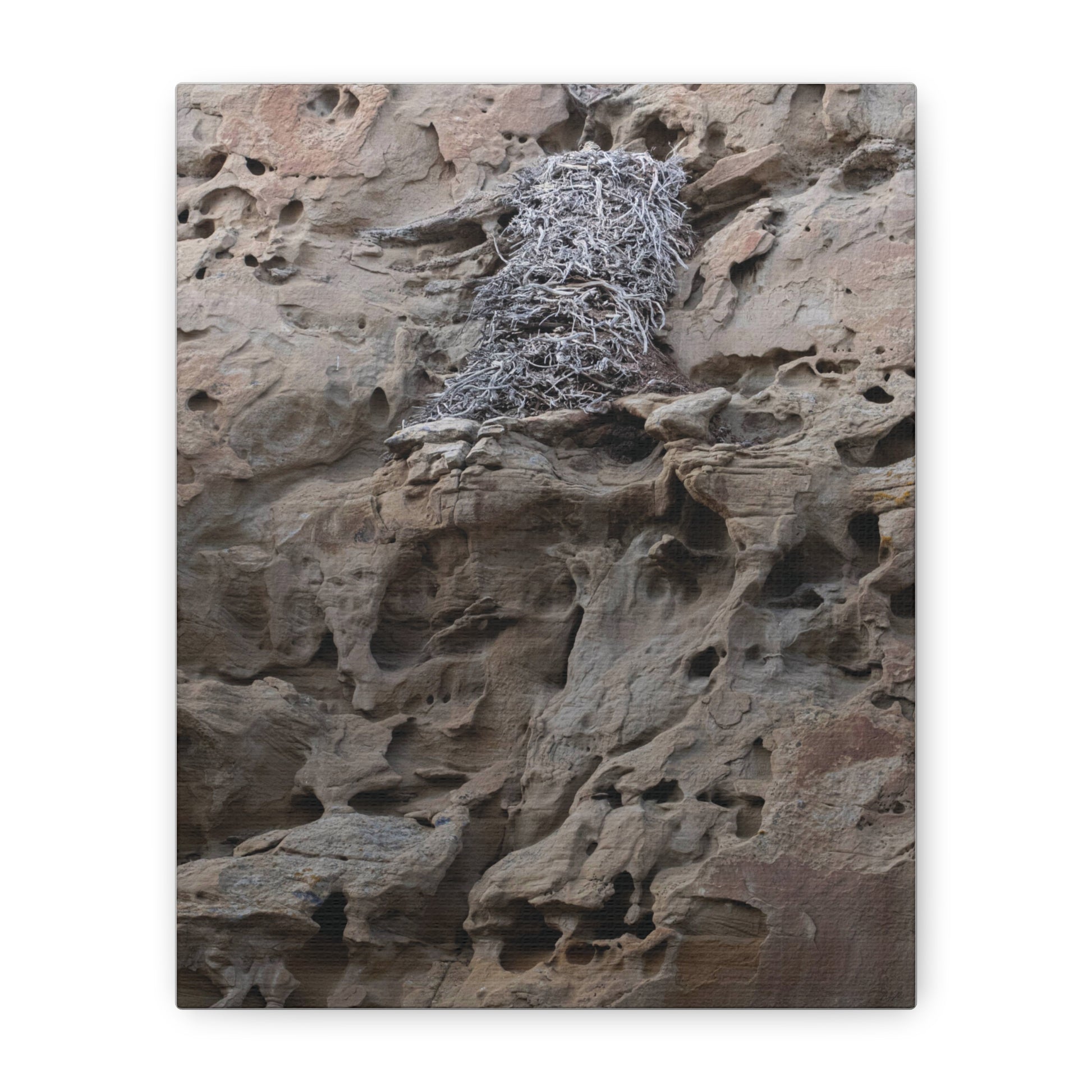 Eagle's Nest in the Petroglyphs — Weathered Time by WyoRaw