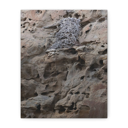 Eagle's Nest in the Petroglyphs — Weathered Time by WyoRaw
