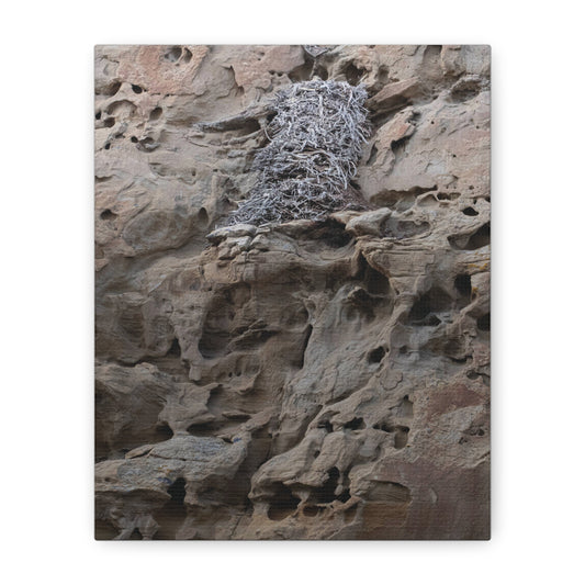 Eagle's Nest in the Petroglyphs — Weathered Time by WyoRaw