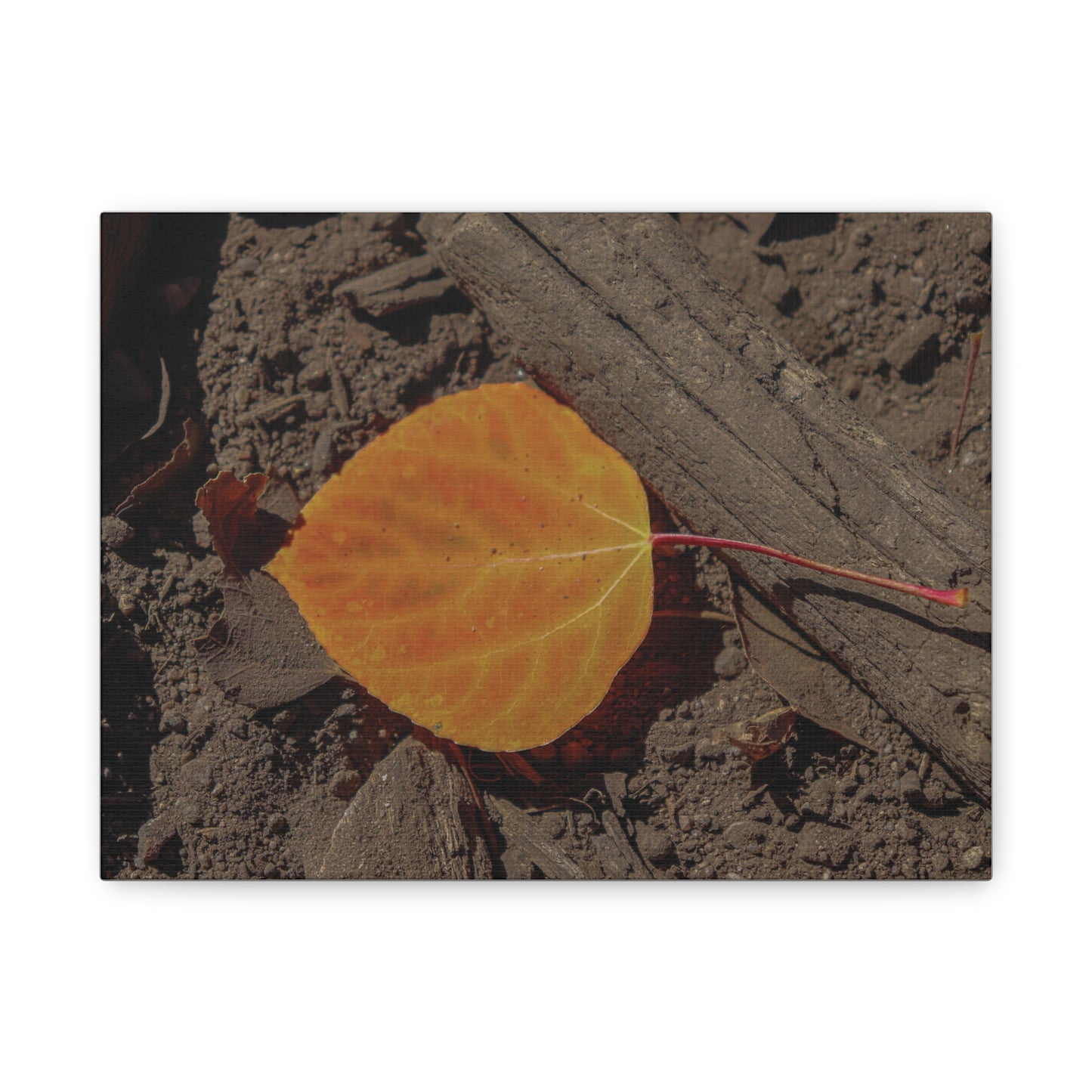 Quiet Resilience: "Autumn Leaf"  - Canvas Print