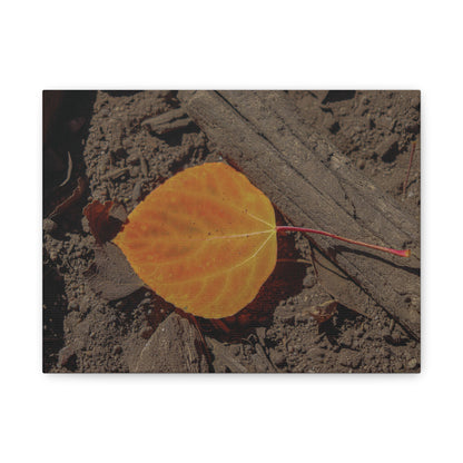 Quiet Resilience: "Autumn Leaf"  - Canvas Print