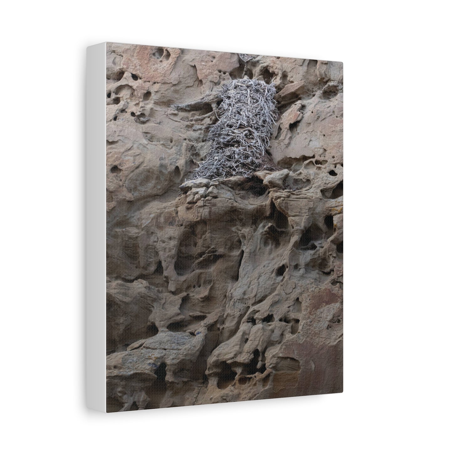 Eagle's Nest in the Petroglyphs — Weathered Time by WyoRaw