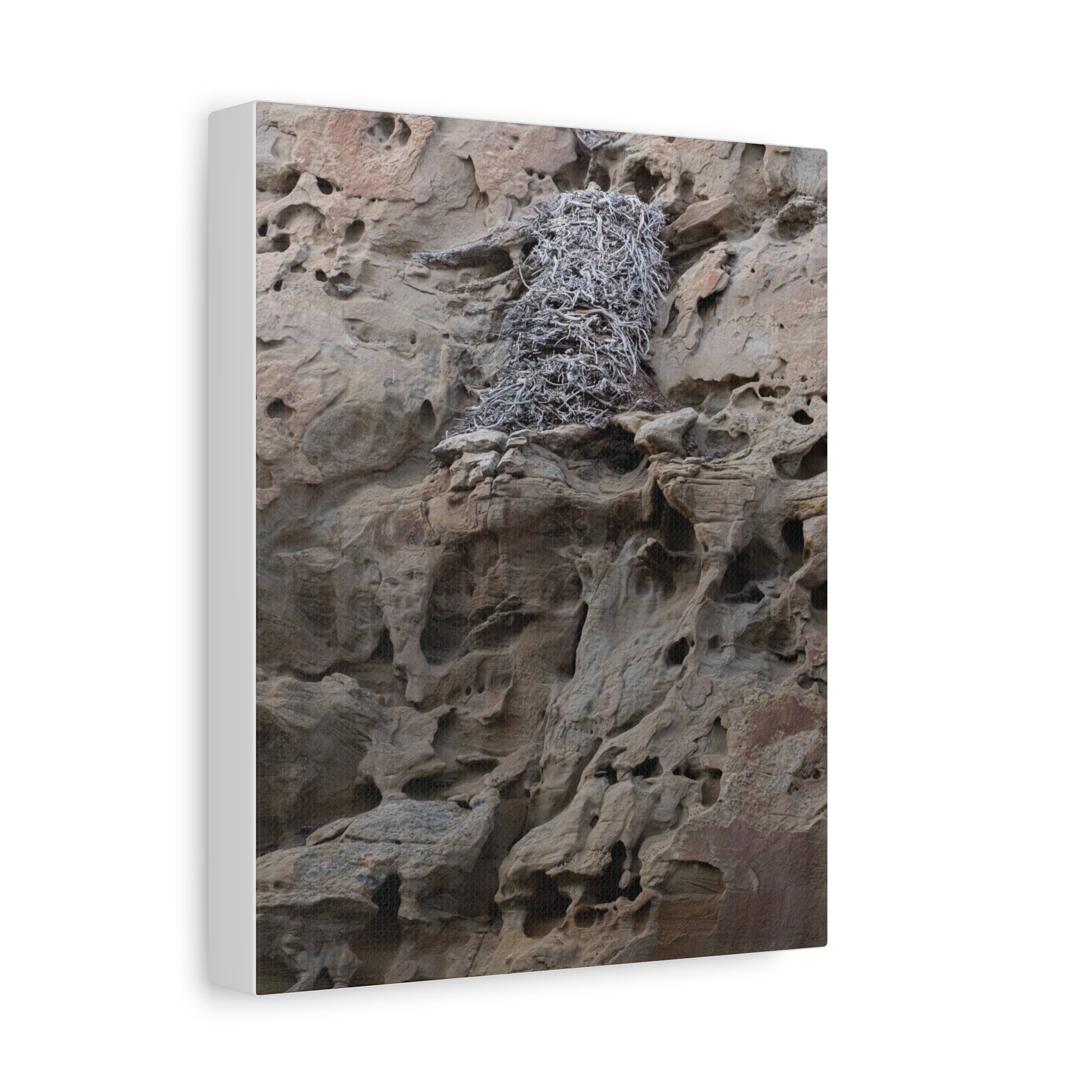 Eagle's Nest in the Petroglyphs — Weathered Time by WyoRaw