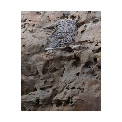 Eagle's Nest in the Petroglyphs — Weathered Time by WyoRaw