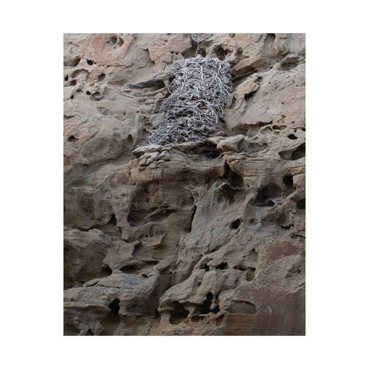 Eagle's Nest in the Petroglyphs — Weathered Time by WyoRaw