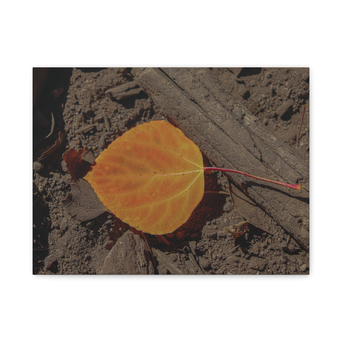 Autumn Leaf — Quiet Resilience by WyoRaw
