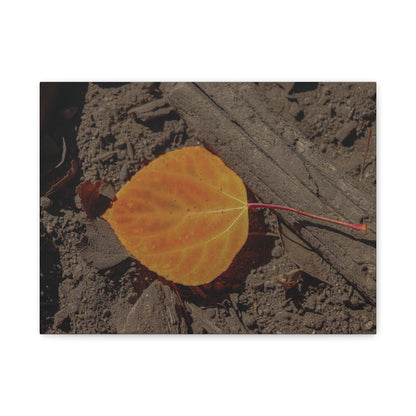 Quiet Resilience: "Autumn Leaf"  - Canvas Print