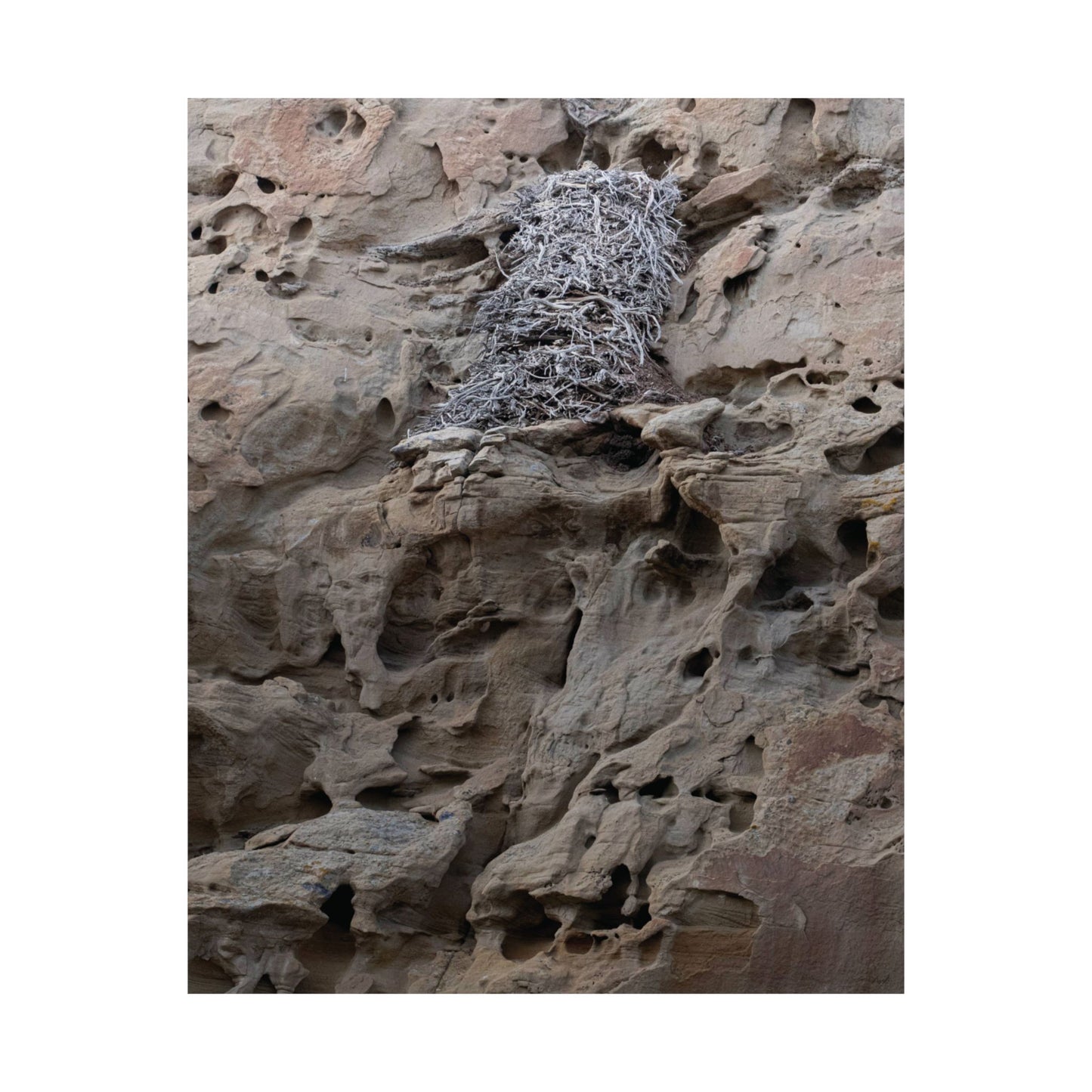 Eagle's Nest in the Petroglyphs — Weathered Time by WyoRaw