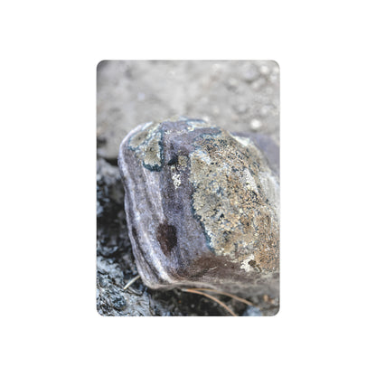 "Lichen Rock" - Metal Wall Art