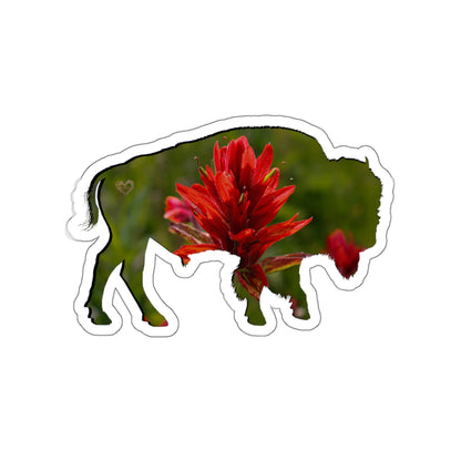 Quiet Resilience: Bison Indian Paintbrush - Die-Cut Sticker