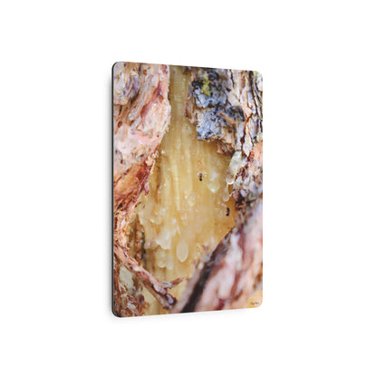 "Ants Encased in Sap" - Metal Wall Art