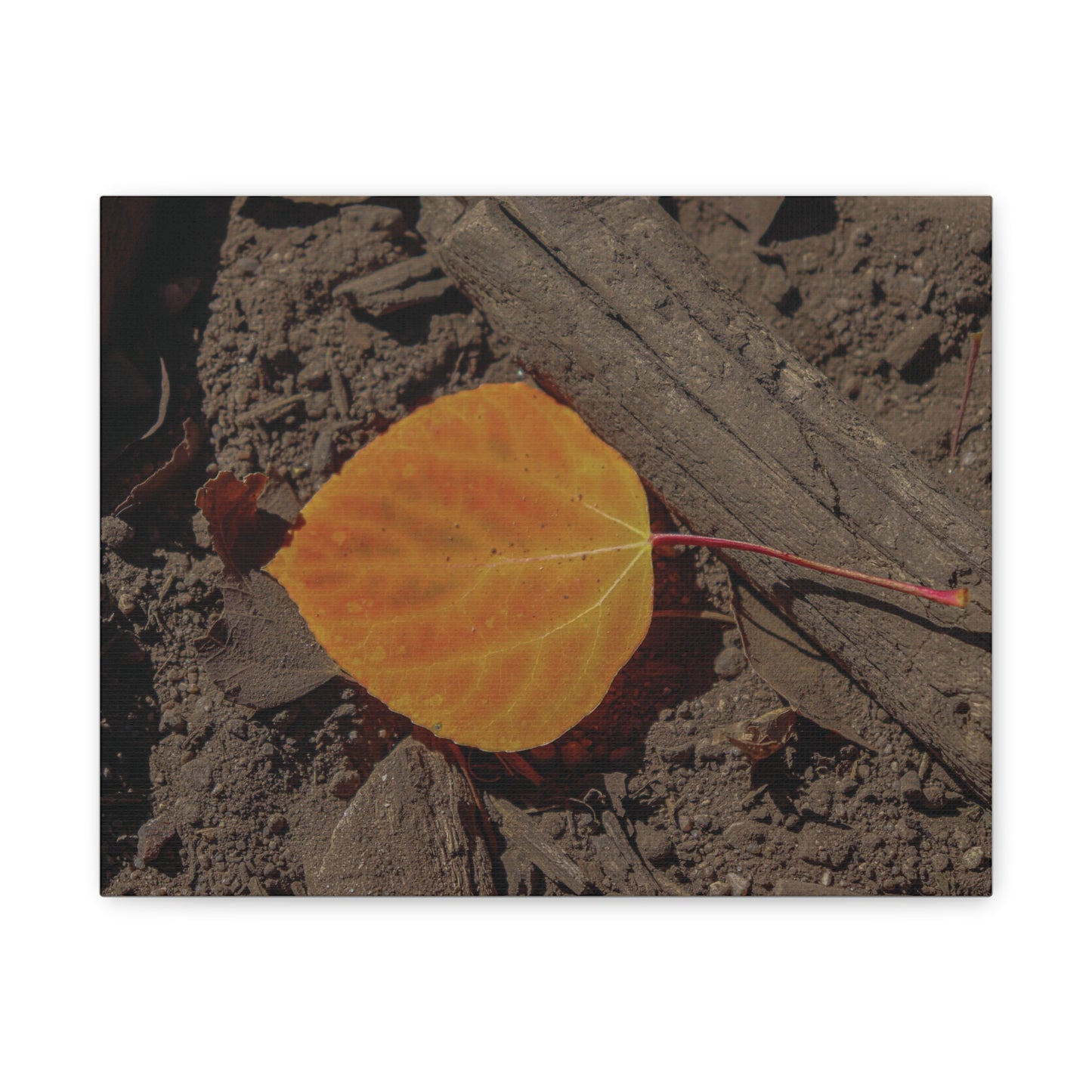 Quiet Resilience: "Autumn Leaf"  - Canvas Print