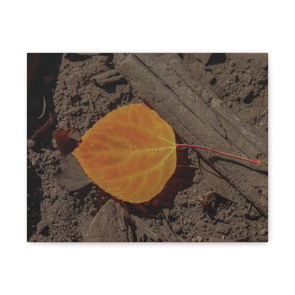 Quiet Resilience: "Autumn Leaf"  - Canvas Print