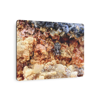 "Spider in the Sap" - Metal Wall Art