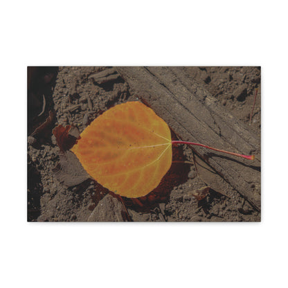Quiet Resilience: "Autumn Leaf"  - Canvas Print