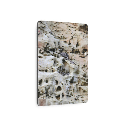 "Eagle's Nest in the Petroglyphs" - Metal Wall Art