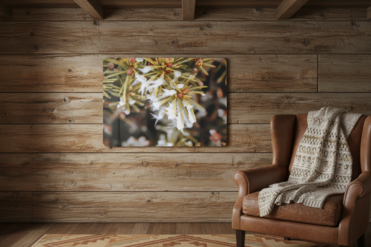 "Icy Evergreen" - Metal Wall Art