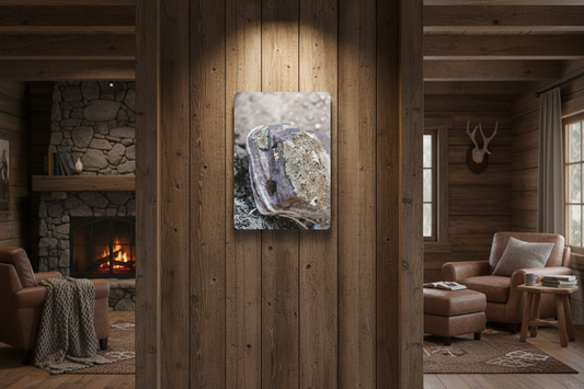 "Lichen Rock" - Metal Wall Art