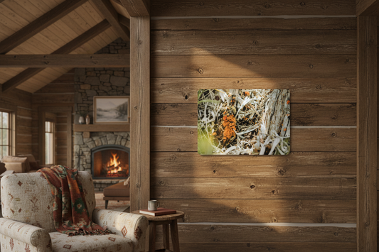 "Lichen in the Sagebrush" - Metal Wall Art