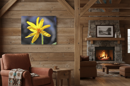 "Yellow Wildflower" - Metal Wall Art