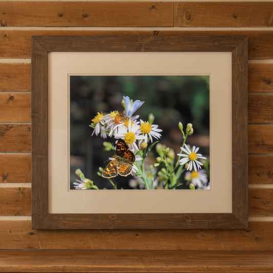 Macro photo print of butterfly on wildflowers in rustic wood frame on wooden wall