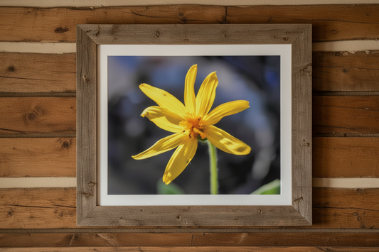 "Yellow Wildflower" - Museum-Grade Archival Print
