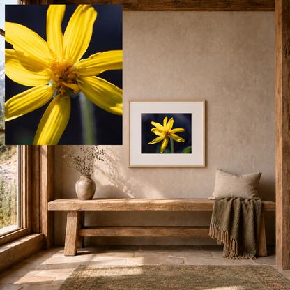 Yellow Wildflower — Quiet Resilience by WyoRaw
