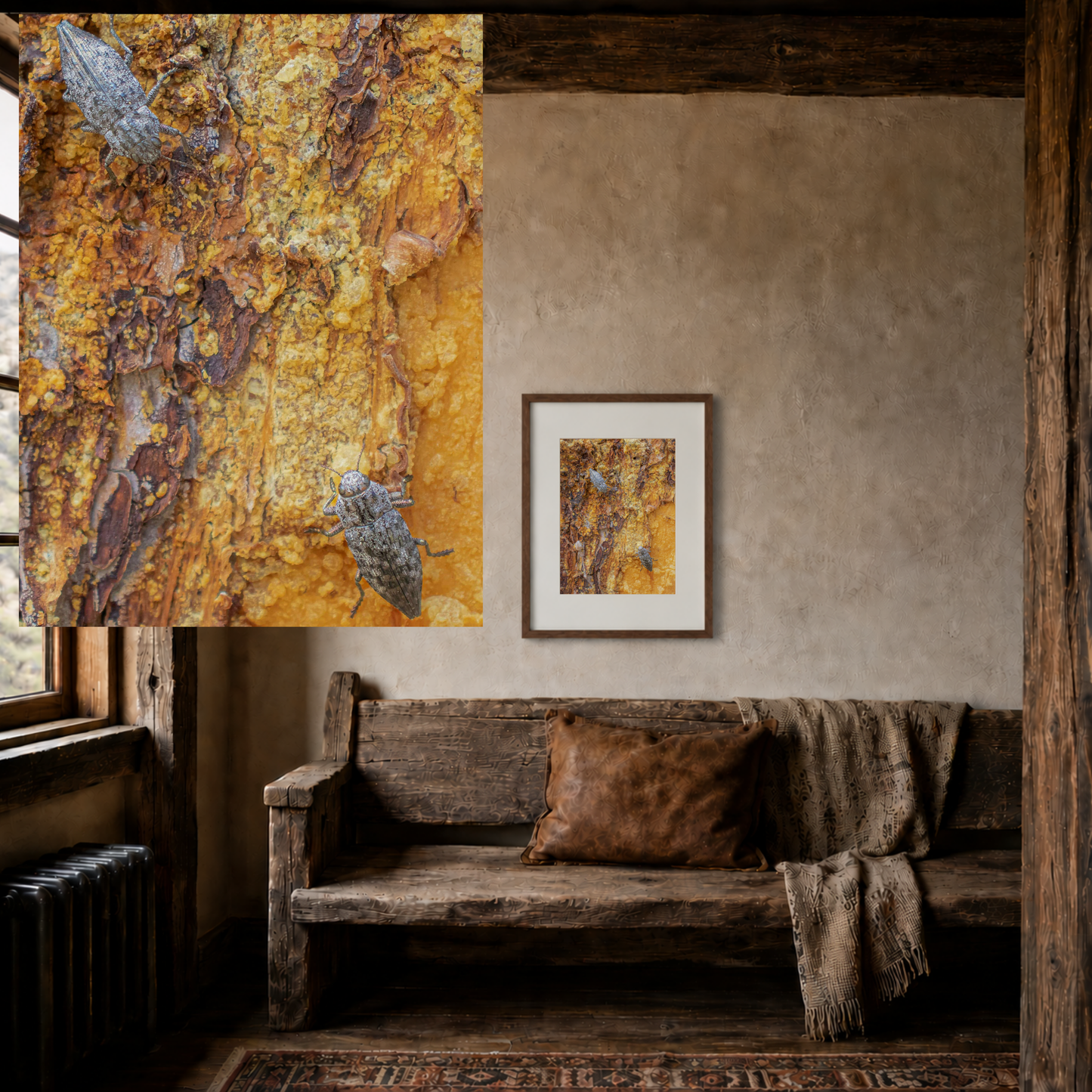 Dual Beetles — Weathered Time by WyoRaw
